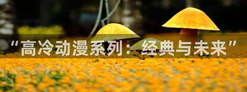 哔咔禁漫天堂：“高冷动漫系列：经典与未来”