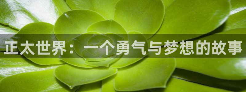 禁漫天堂资源：正太世界：一个勇气与梦想的故事